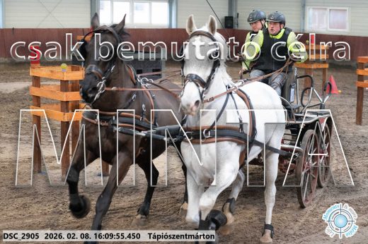 Mintakép 20260208-1513