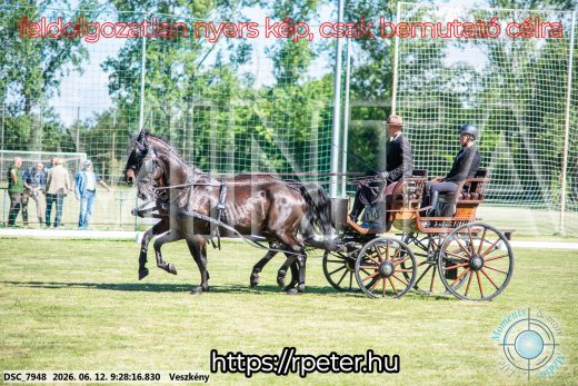 Mintakép 20260612-307