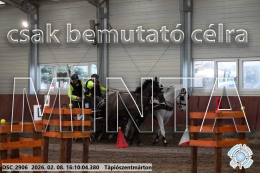 Mintakép 20260208-1514