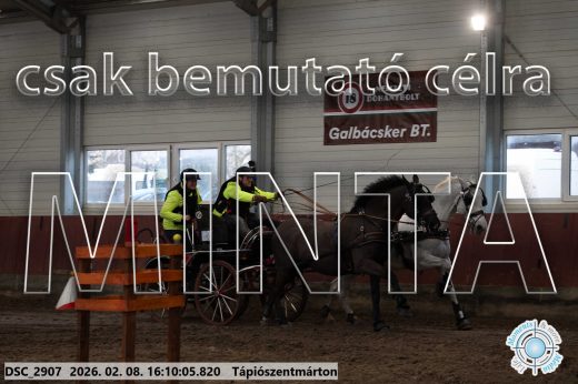Mintakép 20260208-1515