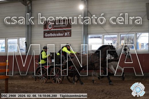 Mintakép 20260208-1516