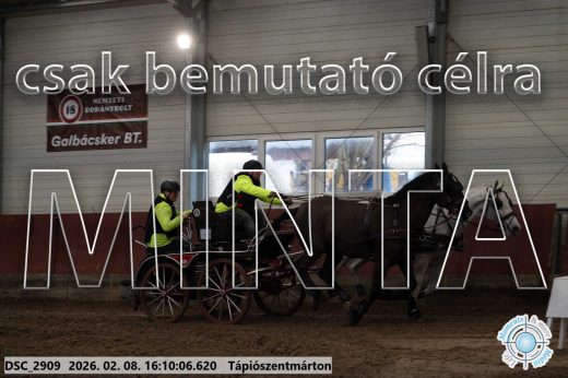 Mintakép 20260208-1517