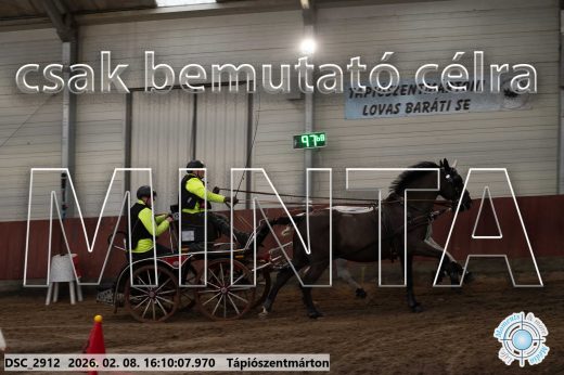 Mintakép 20260208-1518