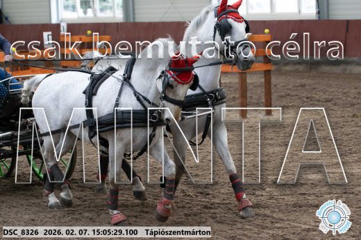 20260207-150529-DSC_8326.jpg
