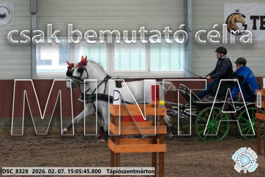 Mintakép 20260207-879