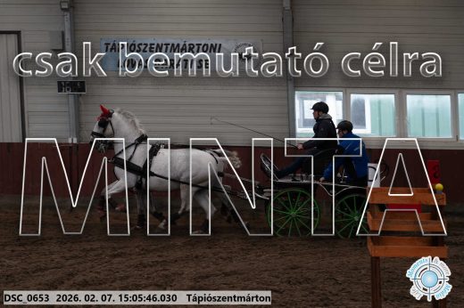 Mintakép 20260207-880