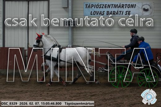 Mintakép 20260207-882