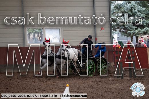 Mintakép 20260207-883