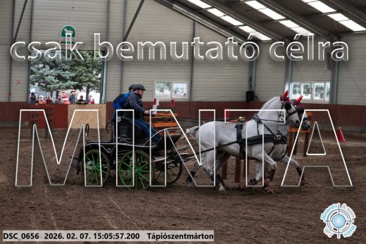 Mintakép 20260207-884