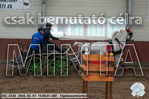 Mintakép 20260207-885