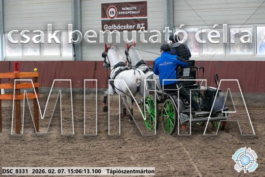 Mintakép 20260207-889