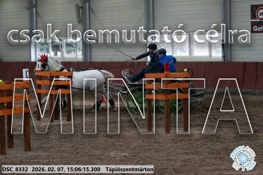 Mintakép 20260207-890