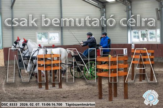 Mintakép 20260207-891