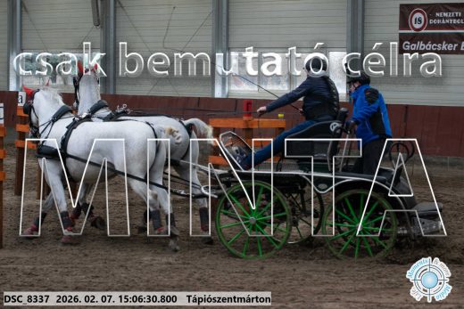 Mintakép 20260207-896