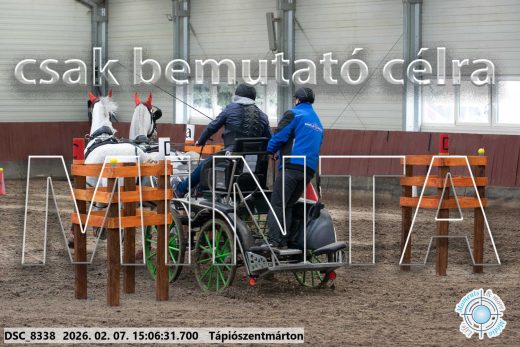 Mintakép 20260207-897