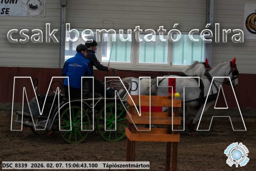 Mintakép 20260207-898