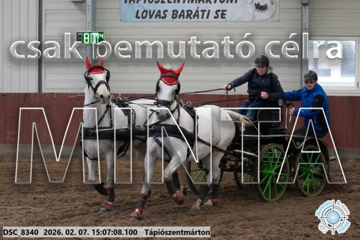 Mintakép 20260207-900