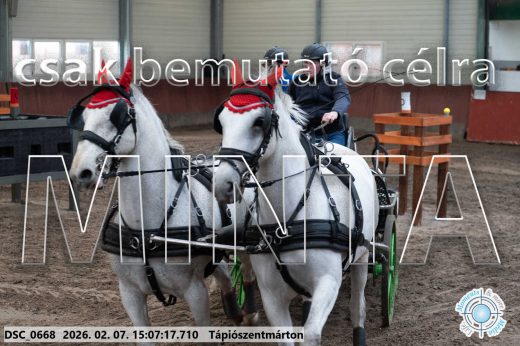 Mintakép 20260207-902