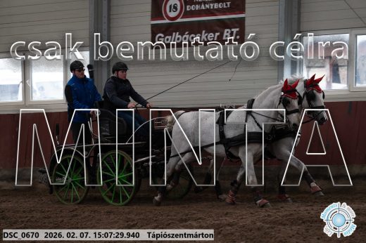 Mintakép 20260207-904