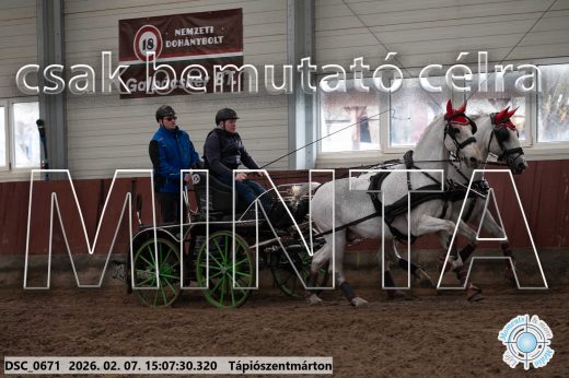 Mintakép 20260207-905