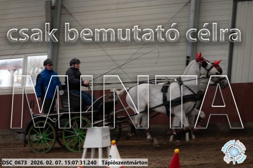 Mintakép 20260207-908