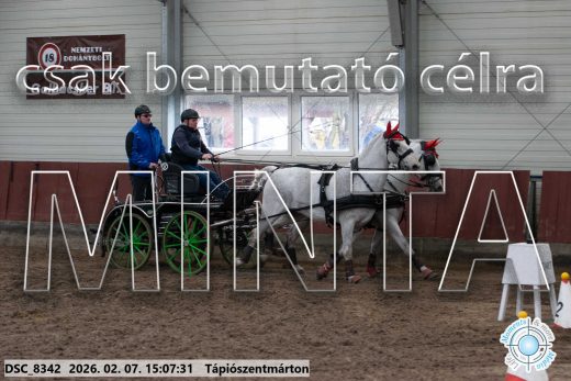 Mintakép 20260207-909