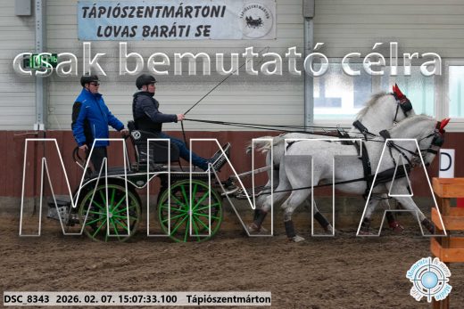 Mintakép 20260207-910