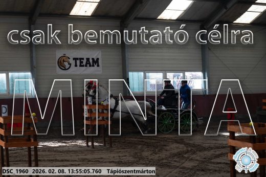 Mintakép 20260208-1520