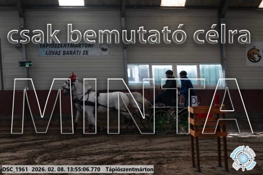 Mintakép 20260208-1521