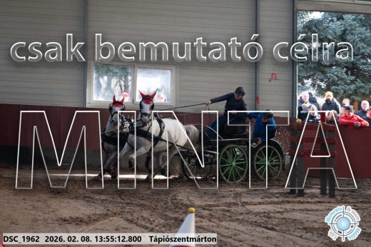 Mintakép 20260208-1522