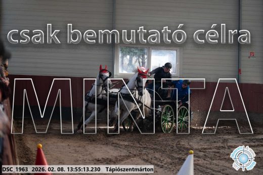 Mintakép 20260208-1523