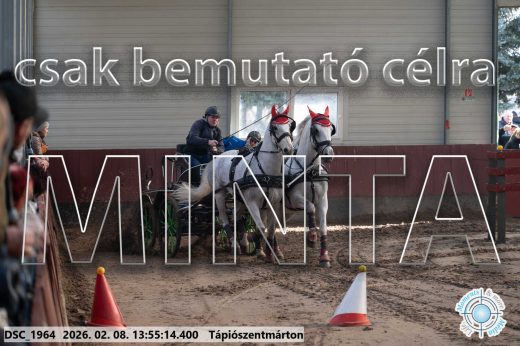 Mintakép 20260208-1524