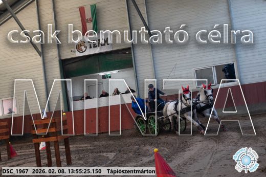 Mintakép 20260208-1526