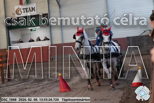 Mintakép 20260208-1527