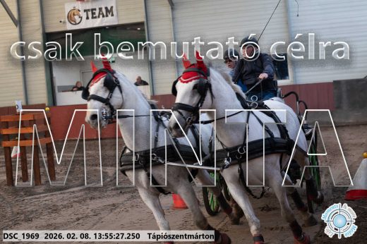 Mintakép 20260208-1528
