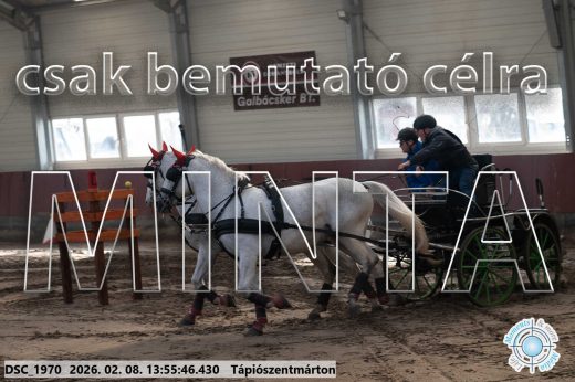 Mintakép 20260208-1529