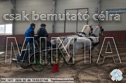 Mintakép 20260208-1530