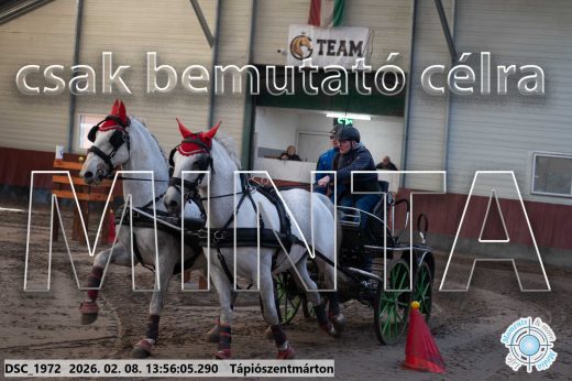 Mintakép 20260208-1531
