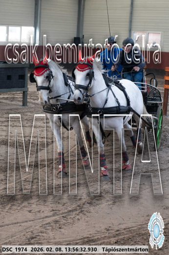 Mintakép 20260208-1532