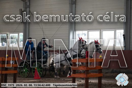 Mintakép 20260208-1533