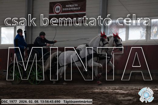 Mintakép 20260208-1535