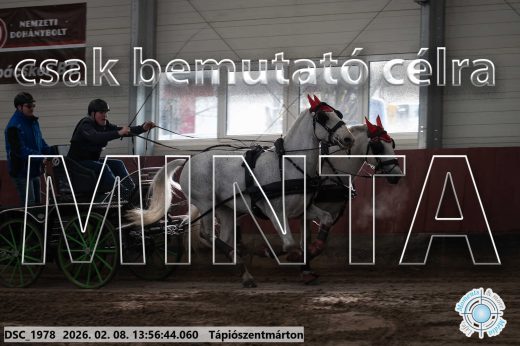 Mintakép 20260208-1536