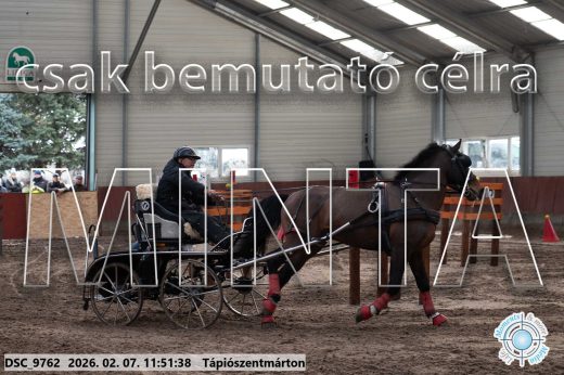 Mintakép 20260207-914