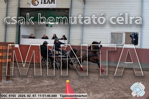 Mintakép 20260207-916