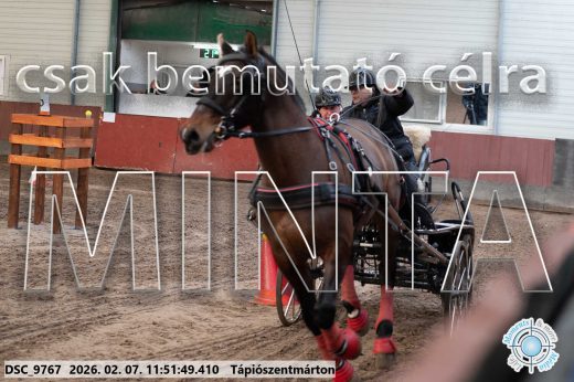 Mintakép 20260207-918