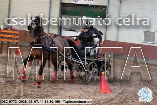 Mintakép 20260207-921