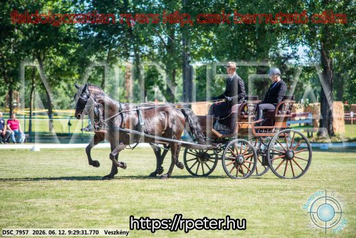 Mintakép 20260612-314