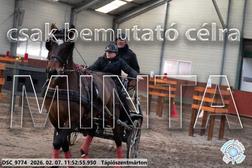 Mintakép 20260207-922