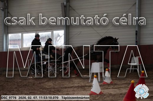 Mintakép 20260207-924