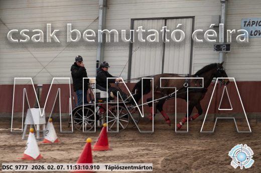 Mintakép 20260207-925